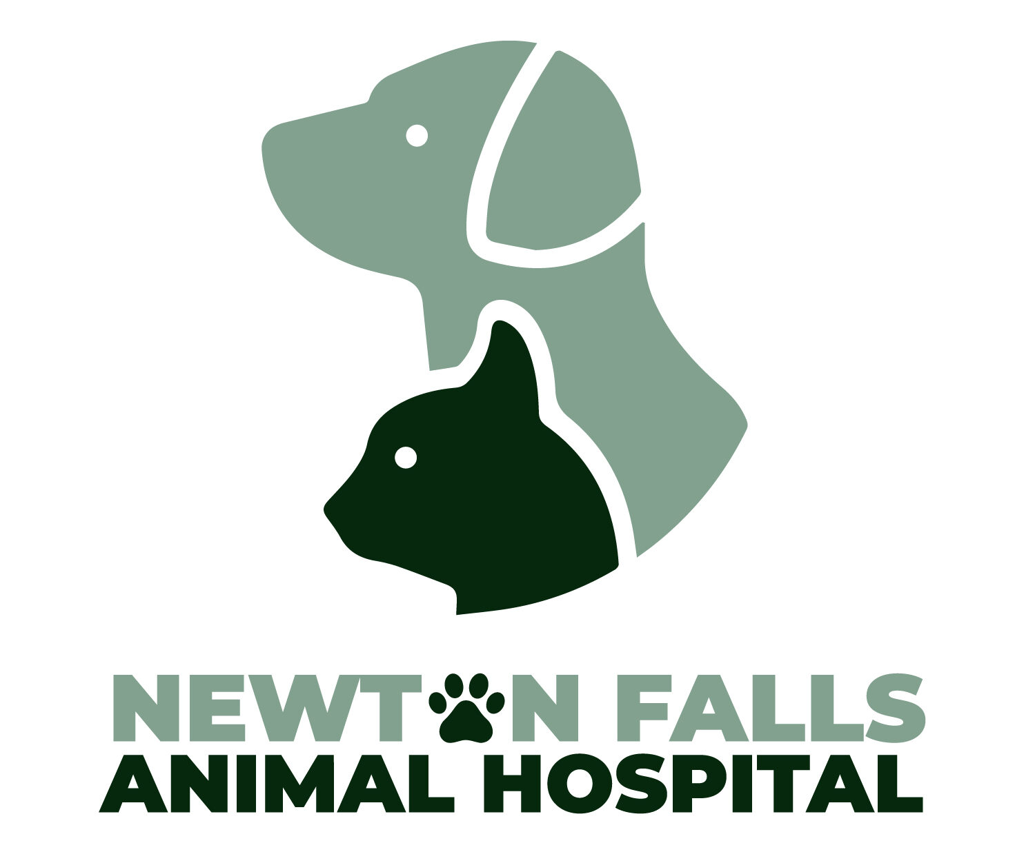 Best Vet In Newton Falls, OH | Newton Falls Animal Hospital