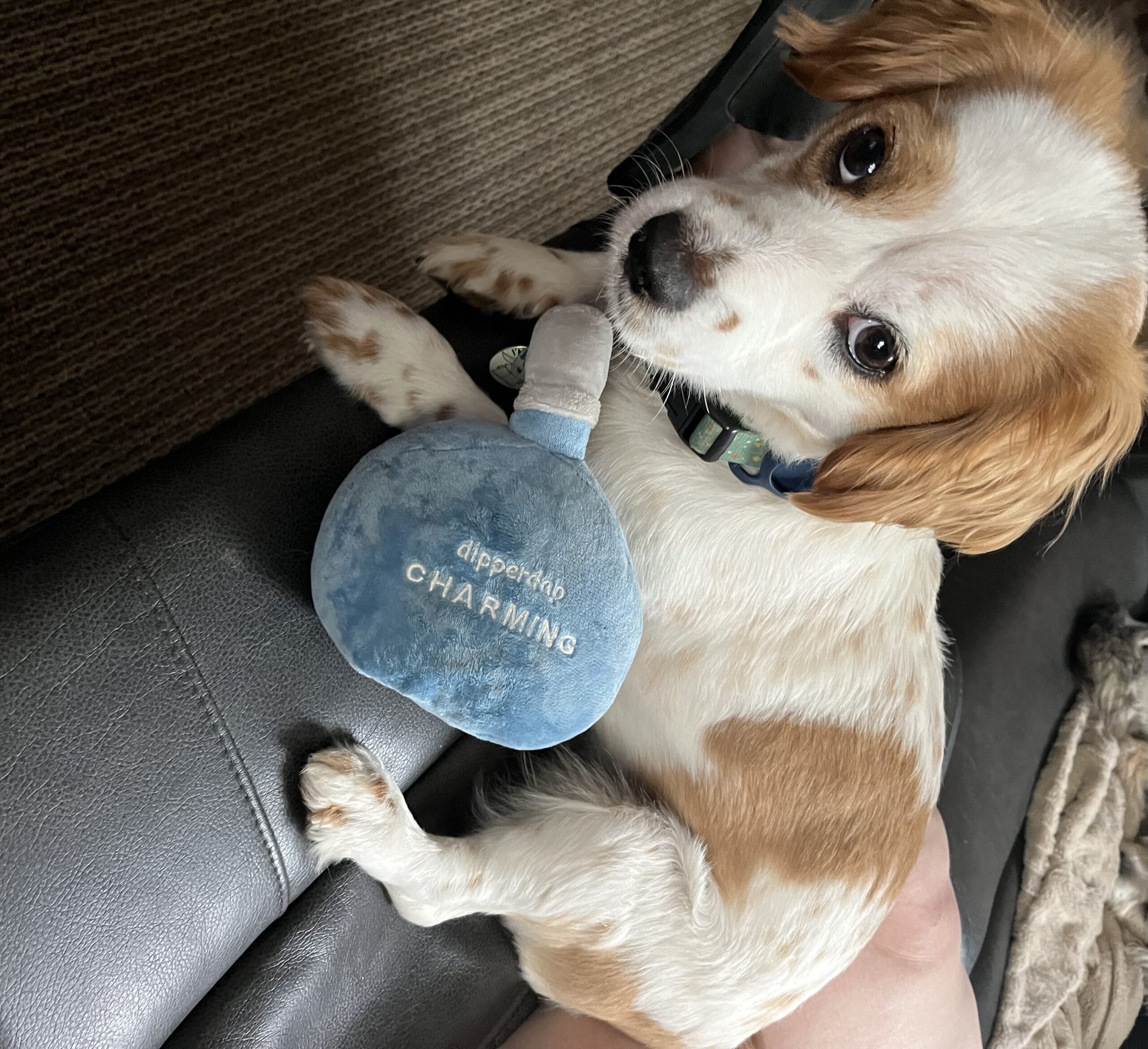 Milo